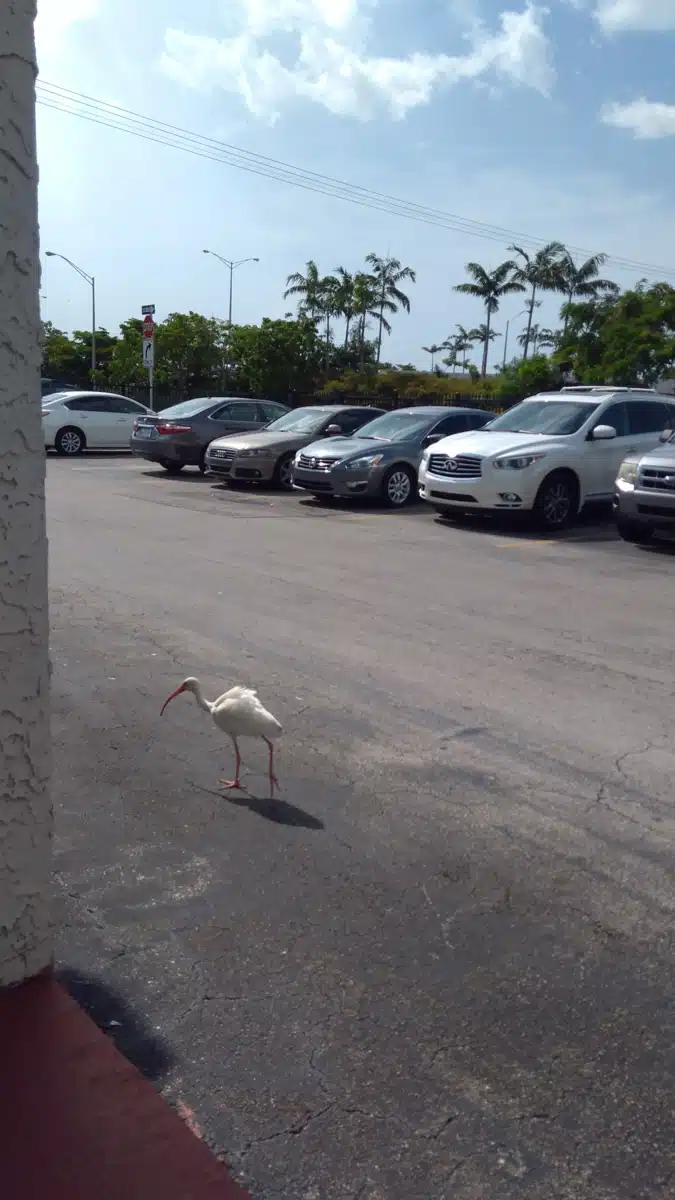 Ctr for Fam and Child Enrichment